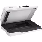 Immagine di Scanner per documenti e immagini A4 600 dpi EPSON WorkForce DS-1630 B11B239401