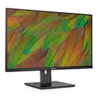 Immagine di 31,5 monitor va 3840x2160 reg alt