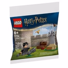 Immagine di Costruzioni LEGO LEZIONE DI QUIDDITCH 30706