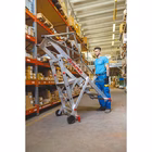 Immagine di Scala per magazzini FARAONE SMT 11 gradini