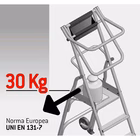 Immagine di Scala a castello FARAONE MFTS 9 gradini