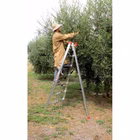 Immagine di Scala a 3 piedi per agr. s/ancor.FARAONE SA 8 grad