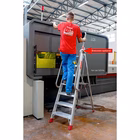 Immagine di Scala profess. c/grad. cm 13 FARAONE DOMUS 6 grad