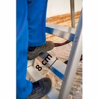 Immagine di Scala profess. FARAONE modello LADY 4 gradini