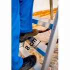 Immagine di Scala profess. FARAONE modello LADY 3 gradini