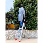 Immagine di Scala profess. FARAONE modello LADY 3 gradini