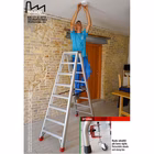 Immagine di Scala a forb. doppia salita FARAONE ND 12+12 grad