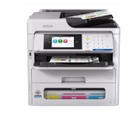 Immagine di Multifunzione ink-jet a4 EPSON Epson F9 RIPS A3 Value HW C11CK21401