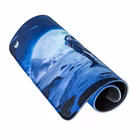 Immagine di Pmp450 m size