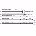 Immagine di Alimentatore per PC 750 w PRODOTTI BULK Tecnoware Free Silent Pro 750W 80+ Silver PFC Atti FAL751FSP