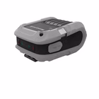 Immagine di Stamp dt rp4f/usb/nfc/bt 5/wf