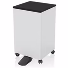 Immagine di Armadio EPSON 7112286