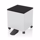 Immagine di Armadio EPSON 7112286