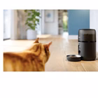 Immagine di Distributore automatico crocchette