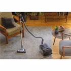 Immagine di Aspirapolvere a traino con sacco 850 Bianco HOOVER HE720PET 011 39002263