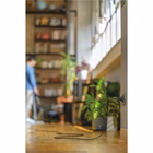 Immagine di Aspirapolvere a traino con sacco 850 Bianco HOOVER HE710HM 011 39002268