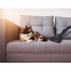 Immagine di Aspirapolvere a traino con sacco 700 Bianco HOOVER HE520PET 011 39002265