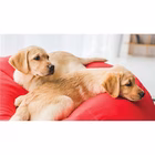 Immagine di Aspirapolvere a traino con e senza sacco 700 Bianco HOOVER BR31PET 011 39002287