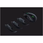 Immagine di Naga trinity