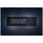 Immagine di Goliathus chroma extended