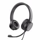 Immagine di Stereo USB c heads noise reduction