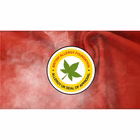 Immagine di Lavatrice a carica dall'alto B 8 kg HOOVER 31020181