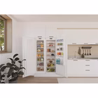 Immagine di Congelatore verticale a incasso 204 litri E 184x58x58 cm Bianco CANDY CUS518EW 37900590