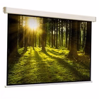 Immagine di Telo per videoproiettori manuale a parete/soffitto 1:1 no 196 cm 196.00000 SOPAR Manuale Platinum 20