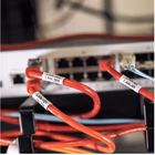 Immagine di Etichettatrice pte310btvpql1