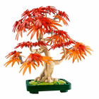 Immagine di Costruzioni LEGO Bonsai di acero rosso giapponese 10348