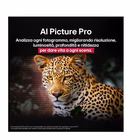 Immagine di Tv 65" 4K (3840x2160) LG ELECTRONICS 65 OLED EVO G5 4K UHD WALL WEBOS25 OLED65G54LW.API