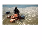 Immagine di Videogames switch GAMEMILL SKULL ISLAND ROK-NSW-EU