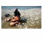 Immagine di Videogames ps4 GAMEMILL SKULL ISLAND ROK-PS4-EU