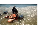 Immagine di Videogames ps5 GAMEMILL SKULL ISLAND ROK-PS5-EU