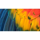 Immagine di Dell 34 plus USB-C mntr - s3425dw