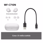 Immagine di Auricolari wireless Nero SONY WF-C710N WFC710NW.CE7