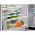 Immagine di Frigorifero E ELECTROLUX 925555000