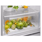 Immagine di Frigorifero E ELECTROLUX KTS5LE16S 925644004