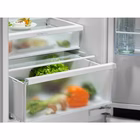 Immagine di Frigorifero D ELECTROLUX 925954020