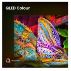 Immagine di Tv 75" 4K (3840x2160) HISENSE 75 U79Q MINI LED 4K UHD SMART VIDAA REFRESH RATE 1 75U79Q