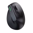 Immagine di NILOX NILOX TECH - Mouse Wireless Verticale Dual ricaric NXMOEVR01B
