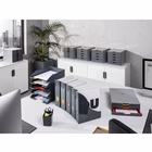 Immagine di Portariviste DURABLE VARICOLOR antracite