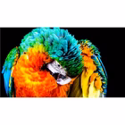 Immagine di Notebook 14,5" intel core ultra 7 32.00000 1024GB DELL DELL NOTEBOOK CONS HIGH GHMW4