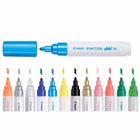 Immagine di Pennarello PILOT PINTOR punta media nero