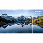 Immagine di 31 5 monitor 2560x1440 reg alt USB-C