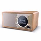Immagine di Radio digitale dr450 brown