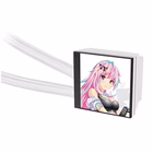 Immagine di Magfloe 360 ultra snow edition