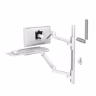Immagine di Lx pro arm wall mount system