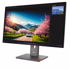 Immagine di P32ud-40