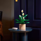 Immagine di Costruzioni LEGO Spatifillo 11504A